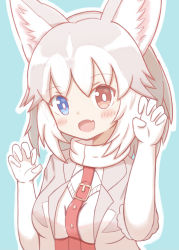 Rule 34 | 1girl, :d, animal ear fluff, animal ears, belt, belt buckle, blue background, blue eyes, blush, breasts, buckle, claw pose, commentary request, dog (mixed breed) (kemono friends), dog ears, elbow gloves, fang, gloves, grey hair, grey jacket, hands up, heterochromia, high-waist skirt, highres, jacket, kemono friends, looking at viewer, medium breasts, multicolored hair, open clothes, open jacket, open mouth, outline, red belt, red eyes, red skirt, shirt, short sleeves, skirt, smile, solo, sunanuko (ramuneko), two-tone hair, white gloves, white hair, white outline, white shirt