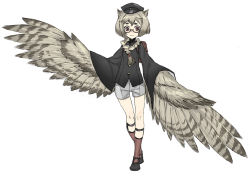 Rule 34 | 1girl, backpack, bag, braid, brown hair, eyebrows, feathered wings, glasses, harpy, hat, jewelry, looking at viewer, miwa shirow, monster girl, necklace, original, randoseru, red eyes, shorts, solo, winged arms, wings