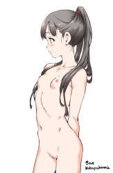 Rule 34 | 1girl, arm behind back, blush, breasts, brown hair, character name, closed mouth, collarbone, completely nude, cowboy shot, female pubic hair, hair over shoulder, hamao, high ponytail, idolmaster, idolmaster cinderella girls, kobayakawa sae, long hair, navel, nipples, nude, profile, pubic hair, simple background, sketch, small breasts, smile, solo, standing, very long hair, white background
