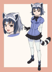 Rule 34 | 10s, 1girl, :d, amano yo-ki, animal ears, anime coloring, arms behind back, black bow, black footwear, black gloves, black hair, black pantyhose, black skirt, blue shirt, border, bow, breasts, common raccoon (kemono friends), fang, fur collar, gloves, grey hair, kemono friends, looking at viewer, looking back, mary janes, medium breasts, multicolored hair, multiple views, open mouth, pantyhose, pleated skirt, puffy short sleeves, puffy sleeves, raccoon ears, raccoon tail, shirt, shoes, short sleeves, skirt, smile, standing, striped tail, tail, white background, white hair, white pantyhose