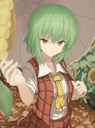 Rule 34 | 1girl, absurdres, ascot, bad id, bad pixiv id, breasts, closed mouth, collared shirt, cowboy shot, flower, furiruno, green hair, hair between eyes, hand up, highres, holding, holding umbrella, kazami yuuka, looking at viewer, medium breasts, open clothes, open vest, outdoors, over shoulder, parasol, plaid, plaid skirt, plaid vest, reaching, reaching towards viewer, red eyes, red vest, shirt, short hair, short sleeves, skirt, skirt set, smile, solo, standing, sunflower, touhou, umbrella, v-shaped eyebrows, vest, white shirt