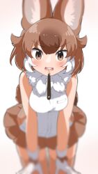 Rule 34 | 1girl, absurdres, animal ears, bare shoulders, blush, bow, brown hair, dhole (kemono friends), dog ears, dog girl, dog tail, extra ears, facing viewer, food, food in mouth, gloves, highres, holding, holding food, holding pocky, incoming kiss, incoming pocky kiss, iwa (iwafish), kemono friends, kemono friends 3, looking at viewer, mouth hold, multicolored hair, open mouth, pocky, pocky in mouth, pov, shirt, short hair, skirt, sleeveless, solo, tail, two-tone hair, white hair