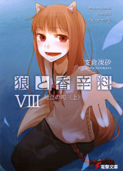 Rule 34 | 00s, 1girl, :d, animal ears, ayakura juu, bag, blunt bangs, blush, breasts, brown hair, company name, copyright name, cover, cover page, english text, engrish text, foreshortening, from side, happy, highres, holo, jewelry, lightning bolt symbol, logo, long hair, long sleeves, necklace, novel cover, official art, open mouth, outstretched arm, ranguage, red eyes, sidelocks, sitting, small breasts, smile, solo, spice and wolf, tail, transparent, wolf ears, wolf tail