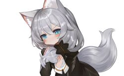 Rule 34 | 1girl, animal ear fluff, animal ears, black dress, blue eyes, blush stickers, closed mouth, commentary request, dokomon, dress, grey hair, hair between eyes, hair over shoulder, highres, honkai (series), honkai impact 3rd, juliet sleeves, korean commentary, long hair, long sleeves, looking at viewer, puffy sleeves, simple background, solo, tail, theresa apocalypse, v-shaped eyebrows, white background