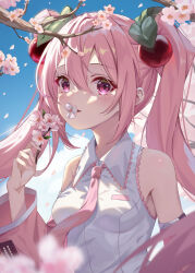 Rule 34 | 1girl, bare shoulders, blue sky, blurry, blush, branch, breasts, calder (pixiv3698273), cherry blossoms, collared shirt, commentary, day, depth of field, detached sleeves, facing viewer, falling petals, flower, flower in mouth, hair between eyes, hair ornament, hand up, hatsune miku, highres, holding, holding branch, holding flower, long bangs, long hair, looking ahead, necktie, outdoors, petals, pink flower, pink hair, pink necktie, purple eyes, sakura miku, shirt, sky, sleeveless, sleeveless shirt, small breasts, solo, twintails, upper body, vocaloid