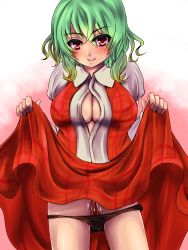 Rule 34 | 1girl, bad id, bad pixiv id, black panties, blush, breasts, cleavage cutout, clothes lift, clothing cutout, dress, dress lift, fujimori tonkatsu, gradient background, green hair, highres, kazami yuuka, large breasts, looking at viewer, open clothes, open shirt, panties, panty pull, pussy juice, pussy juice stain, red eyes, shirt, smile, solo, touhou, underwear, wet