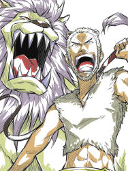 Rule 34 | 1boy, animal, animal ears, facial hair, holding, holding whip, knockout (kimi0228), lion, looking at viewer, mohji, one piece, open mouth, richie (one piece), short hair, simple background, teeth, whip, white background, white hair