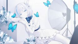 Rule 34 | 1girl, aged up, arm rest, artist request, azur lane, backless dress, backless outfit, black nails, blue butterfly, blue eyes, blue hair, breasts, bug, butterfly, butterfly hair ornament, closed mouth, colored eyelashes, colored skin, dress, expressionless, eyes visible through hair, fingernails, flower, four-leaf clover necklace, game cg, hair ornament, half-closed eyes, head rest, highres, insect, jewelry, layered dress, medium breasts, multicolored hair, nail polish, necklace, non-web source, official art, pale skin, rose, short dress, short hair, sitting, sleeveless, sleeveless dress, streaked hair, tb (azur lane), tb (type-a) (azur lane), two-tone hair, white flower, white hair, white rose, white skin