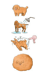 Rule 34 | 4koma, comic, dog, fluffy, hair dryer, no humans, noja, original, poodle, puddle, showering, simple background, solo, tongue, tongue out, wet, white background, wind