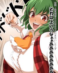 Rule 34 | 1girl, ascot, blush, bouncing breasts, breasts, commentary request, green hair, incoming attack, incoming punch, kazami yuuka, large breasts, looking at viewer, mattari yufi, open clothes, open mouth, open vest, punching, raised fist, red eyes, shirt, smile, solo, touhou, translation request, upper body, vest