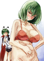 Rule 34 | 2girls, ^ ^, antennae, bare shoulders, blush, blush stickers, bottomless, bra, breasts, cape, cleavage, closed eyes, closed eyes, green hair, groin, hand on own stomach, kazami yuuka, large breasts, multiple girls, navel, open mouth, own hands clasped, own hands together, plump, red bra, red eyes, short hair, short shorts, shorts, smile, touhou, underwear, v-shaped eyebrows, weight conscious, wriggle nightbug, yohane