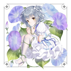 Rule 34 | 1girl, blue flower, bow, brown eyes, closed mouth, commentary request, dress, flower, flower request, full body, grey hair, hands up, haneru, haori haruki, highres, himitsu no jugyou, knees up, looking at viewer, no shoes, original, pantyhose, pleated dress, puffy short sleeves, puffy sleeves, purple flower, short sleeves, solo, two side up, waist bow, white background, white dress, white pantyhose