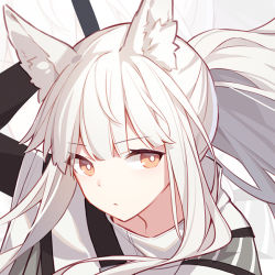 Rule 34 | 1girl, animal ear fluff, animal ears, arknights, arm up, brown eyes, capelet, expressionless, long hair, looking at viewer, platinum (arknights), ponytail, portrait, quan (kurisu tina), solo, white hair, zoom layer