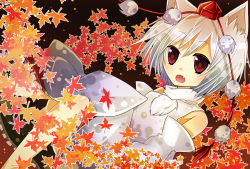 1girl animal_ears bad_id bad_pixiv_id barefoot detached_sleeves fang female_focus hat highres inubashiri_momiji kusa kusada_souta leaf maple_leaf red_eyes short_hair silver_hair solo tokin_hat touhou wolf_ears