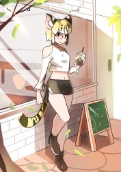 Rule 34 | 1girl, absurdres, animal ears, bare legs, boots, cat ears, cat tail, chalkboard, cup, drinking straw, falling leaves, glasses, high heel boots, high heels, highres, implied extra ears, kemono friends, leaf, looking at viewer, margay (kemono friends), midriff, outdoors, shirt, short hair, shorts, solo, tail, tommyyu4000, white shirt, window