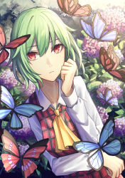 Rule 34 | 1girl, arm rest, ascot, blue butterfly, bug, butterfly, closed mouth, collarbone, collared shirt, commentary, eyelashes, flower, frown, green hair, hair between eyes, hand on own cheek, hand on own face, hand up, highres, hydrangea, insect, kazami yuuka, looking at viewer, medium hair, pink flower, plaid, plaid vest, red butterfly, red eyes, red vest, shirt, solo, touhou, upper body, vest, white shirt, yangsan (2991076090), yellow ascot