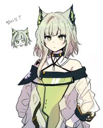 Rule 34 | 1girl, 5rwpvc, angry, animal ears, arknights, asymmetrical hair, bare shoulders, black choker, cat ears, cat girl, chibi, chibi inset, choker, closed mouth, cowboy shot, dress, green dress, green eyes, hands in pockets, highres, kal&#039;tsit (arknights), korean text, long hair, looking at viewer, material growth, off-shoulder dress, off shoulder, oripathy lesion (arknights), see-through, see-through sleeves, simple background, translation request, white background