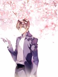 Rule 34 | 1boy, brown hair, buttons, cherry blossoms, closed mouth, coat, collar, collared shirt, flower, gloves, heshikiri hasebe, kuroemon, long sleeves, looking at viewer, male focus, open clothes, pants, parted bangs, petals, pink flower, purple coat, purple eyes, purple pants, shirt, short hair, simple background, solo, standing, touken ranbu, white background, white gloves, white shirt