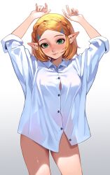 Rule 34 | 1girl, bad tag, blonde hair, braid, breasts, elf, green eyes, hair ornament, hairclip, hand up, legs, looking at viewer, medium breasts, naked shirt, nintendo, pawsup, pointy ears, princess zelda, shirt, smile, solo, standing, the legend of zelda, the legend of zelda: tears of the kingdom