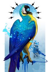 Rule 34 | animal, animal focus, artist name, beak, bird, blue background, blue gemstone, claws, full body, gem, gradient background, highres, komiti, looking at viewer, mouth hold, no humans, open mouth, original, outside border, parrot, pillarboxed, solo, talons, twitter username, two-tone background, white background, white eyes