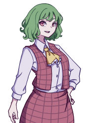 Rule 34 | 1girl, absurdres, ascot, collared shirt, green hair, hand on own hip, highres, kame (kamepan44231), kazami yuuka, long skirt, long sleeves, one-hour drawing challenge, open clothes, open vest, plaid, plaid skirt, plaid vest, red eyes, red skirt, red vest, shirt, short hair, simple background, skirt, skirt set, smile, solo, touhou, vest, wavy hair, white background, white shirt, yellow ascot