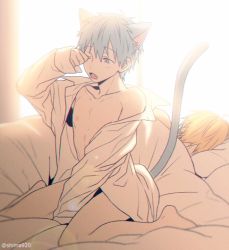 Rule 34 | 2boys, animal ears, backlighting, bed sheet, between legs, blonde hair, blurry, blush, bottomless, cat boy, cat ears, cat tail, collarbone, commentary request, depth of field, earrings, facing away, fang, hair between eyes, hand between legs, hand up, head on pillow, jewelry, kemonomimi mode, kise ryouta, kuroko no basuke, kuroko tetsuya, lens flare, long sleeves, looking to the side, male focus, mashima shima, multiple boys, naked shirt, nipples, on bed, open clothes, open mouth, open shirt, pectorals, pillow, rubbing eyes, shirt, short hair, sitting, sleepy, tail, toned, toned male, twitter username, wariza, white shirt