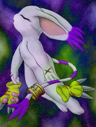 Rule 34 | animal ears, cat, cat ears, digimon, digimon (creature), gloves, holy ring, jewelry, ring, scar, tail, tailmon