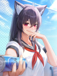 Rule 34 | 1girl, absurdres, animal ear fluff, animal ears, black hair, black sailor collar, blue sky, breast pocket, breasts, can, chain-link fence, closed mouth, cloud, covering face, cryturtle, day, drink can, fence, highres, holding, lens flare, long hair, looking at viewer, medium breasts, neckerchief, original, outdoors, outstretched arm, pocket, pov, red eyes, red neckerchief, sailor collar, school uniform, serafuku, shirt, short sleeves, sky, soda can, solo, upper body, white shirt
