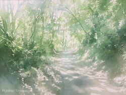 Rule 34 | absurdres, bush, day, forest, grass, highres, nature, no humans, original, path, plant, road, scenery, shadow, sunlight, toyonaga ryouhei, tree