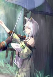 Rule 34 | 1girl, 1other, absurdres, animal ears, arknights, bare shoulders, black gloves, cat ears, chinese commentary, dress, from side, gloves, grass, green dress, green eyes, highres, holding, holding umbrella, jewelry, kal&#039;tsit (arknights), moyu marginal, necklace, off-shoulder dress, off shoulder, out of frame, outdoors, rain, short hair, umbrella, white hair