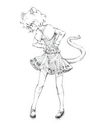 Rule 34 | 1girl, animal ears, bad id, bad pixiv id, capelet, female focus, full body, greyscale, hands on own hips, highres, kneehighs, mary janes, monochrome, mouse ears, nazrin, shoes, short hair, simple background, skirt, socks, solo, tail, takeuma, touhou, white background