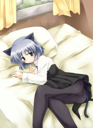 Rule 34 | 00s, 1girl, animal ears, ass, bed, black pantyhose, blush, cat ears, cat tail, green eyes, pantyhose, sanya v. litvyak, short hair, silver hair, solo, strike witches, tail, tekehiro, world witches series