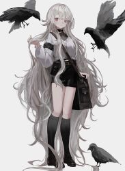 Rule 34 | 1girl, absurdly long hair, armband, bag, belt, belt pouch, bird, black armband, black bag, black shorts, black socks, brown belt, brown eyes, brown footwear, cardigan, closed mouth, commentary, crow, grey cardigan, grey hair, highres, holding, holding own hair, kneehighs, long hair, messenger bag, neck ribbon, original, pouch, red ribbon, ribbon, shoes, shorts, shou (mori boro), shoulder bag, simple background, socks, solo, standing, symbol-only commentary, very long hair, white background