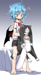 Rule 34 | 1girl, alternate costume, animal, barefoot, bat wings, bed sheet, black shorts, black wings, blue hair, cat, clothes writing, commentary request, fang, full body, gradient background, holding, holding animal, looking down, messy hair, noya makoto, off-shoulder shirt, off shoulder, open mouth, red eyes, remilia scarlet, shirt, short hair, short shorts, short sleeves, shorts, slit pupils, squiggle, standing, sweatdrop, touhou, white shirt, wings