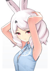 Rule 34 | 1girl, animal ear fluff, animal ears, arctic hare (kemono friends), armpits, arms up, blue shirt, bra, bra peek, breasts, commentary request, dl2go, expressionless, highres, kemono friends, medium hair, rabbit ears, red eyes, shirt, simple background, sleeveless, sleeveless shirt, small breasts, solo, underwear, upper body, white background, white hair, wing collar