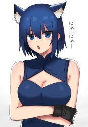 Rule 34 | absurdres, animal ears, blue dress, blue eyes, blue hair, blush, breasts, ciel (tsukihime), cleavage, dress, female focus, gloves, highres, kagetsu tooya, large breasts, looking at viewer, maz515, melty blood, open mouth, tsukihime, white background