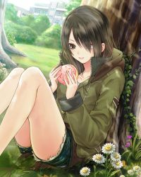 Rule 34 | 1girl, :d, absurdres, against tree, brown eyes, brown hair, collarbone, daisy, day, flower, food, hair between eyes, hair over one eye, highres, holding, holding food, kishida mel, long hair, open mouth, outdoors, school fanfare, shirt, short shorts, shorts, sitting, smile, solo, sweater, torn clothes, torn shorts, tree, white flower, white shirt