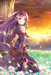 Rule 34 | 10s, 1girl, bad id, bad pixiv id, detached sleeves, fingerless gloves, from behind, gloves, hairband, highres, leotard, long hair, pointy ears, purple hair, red eyes, solo, sunset, sword, sword art online, tailam, weapon, yuuki (sao)