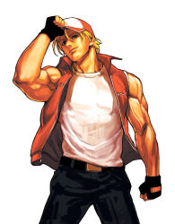 Rule 34 | 1boy, fatal fury, hat, male focus, muscular, snk, solo, terry bogard, the king of fighters