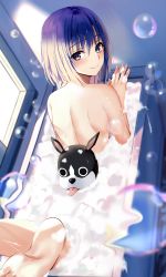 Rule 34 | 1girl, absurdres, animal, barefoot, bathing, bathtub, blue hair, blush, breasts, brown eyes, closed mouth, completely nude, dog, feet, feet up, from behind, highres, indoors, looking at viewer, looking back, marron (to love-ru), medium breasts, nicky w, nude, sairenji haruna, short hair, sideboob, smile, soap, soap bubbles, to love-ru, water, window