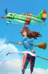 Rule 34 | 2girls, aircraft, airplane, bird, broom, broom riding, brown hair, cameo, cloud, day, dress, flamingo, flying, goggles, goggles on head, green eyes, happy, inui (jt1116), long hair, multiple girls, open mouth, pilot, polikarpov i-16, sidesaddle, sky, smile, spain, spanish civil war, spanish republican flag, spanish text, tintin, translated, vehicle focus