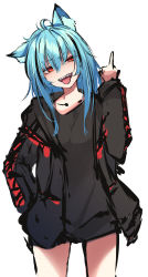 Rule 34 | 1girl, :d, absurdres, ahoge, animal ear fluff, animal ears, black jacket, black shirt, blue hair, hair between eyes, hand up, head tilt, highres, jacket, kana616, kana (kana616), long hair, long sleeves, middle finger, open clothes, open jacket, open mouth, original, red eyes, sharp teeth, shirt, simple background, sketch, smile, solo, standing, teeth, tongue, tongue out, white background