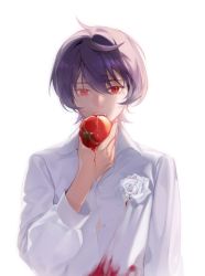 Rule 34 | 1boy, ahoge, arm at side, biting, boutonniere, collared shirt, dirty, dirty clothes, dress shirt, dripping, eating, ensemble stars!, eyelashes, flipped hair, flower, food, fruit, hair between eyes, hair over one eye, hand up, highres, holding, holding food, holding fruit, long sleeves, looking at viewer, male focus, partially unbuttoned, purple hair, red eyes, rose, sakuma ritsu, shirt, short hair, simple background, slit pupils, solo, tomato, upper body, white background, white flower, white rose, white shirt, woshayangmei