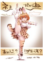 Rule 34 | 1girl, animal ears, blonde hair, bow, bowtie, commentary, elbow gloves, flexible, gloves, kemono friends, leg up, looking at viewer, nyororiso (muyaa), open mouth, orange bow, orange bowtie, panties, print bow, print bowtie, serval (kemono friends), serval print, shirt, short hair, skirt, sleeveless, smile, solo, split, standing, standing on one leg, standing split, tail, tiptoes, traditional bowtie, translation request, underwear