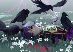 Rule 34 | 1boy, armor, bird, black bird, black feathers, blank stare, crow, expressionless, feathers, flower, genshin impact, highres, japanese armor, japanese clothes, lightning, looking at viewer, lying, male focus, purple eyes, purple hair, rain, scaramouche (genshin impact), short hair, solo, thunder, white flower, xiaohen236