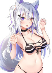 Rule 34 | 1girl, :o, absurdres, animal ears, bare shoulders, bikini, black bikini, black choker, blush, breasts, choker, claw pose, cleavage, collarbone, commentary request, fang, fox ears, fox girl, fox tail, front-tie bikini top, front-tie top, hair ornament, hairclip, halterneck, hands up, heterochromia, highres, kurohikage, long hair, looking at viewer, medium breasts, navel, one side up, open mouth, orange eyes, original, purple eyes, silver hair, simple background, skin fang, solo, stomach, string bikini, striped bikini, striped clothes, swimsuit, tail, two side up, upper body, white background