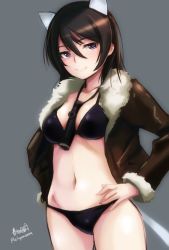 Rule 34 | 1girl, adolfine galland, animal ears, artist name, bad id, bad twitter id, between breasts, bikini, black bikini, black hair, blue eyes, breasts, brown jacket, cat ears, cat tail, cowboy shot, fur-trimmed jacket, fur trim, grey background, hands on own hips, haruhata mutsuki, jacket, long hair, looking at viewer, medium breasts, simple background, smile, solo, strike witches, swimsuit, tail, twitter username, world witches series