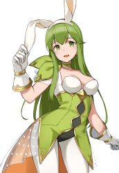 Rule 34 | 1girl, :d, animal ears, black leotard, breasts, choker, collarbone, contrapposto, cowboy shot, fake animal ears, fire emblem, fire emblem: mystery of the emblem, fire emblem: shadow dragon, fire emblem heroes, gloves, green choker, green eyes, green hair, highres, legs apart, leotard, long hair, looking at viewer, medium breasts, nintendo, official alternate costume, open mouth, palla (fire emblem), pantyhose, playboy bunny, rabbit ears, ruis bacon, see-through, simple background, smile, solo, standing, white background, white gloves, white pantyhose