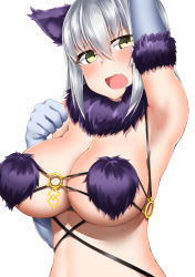 Rule 34 | 1girl, :o, arm up, armpits, blush, breasts, cleavage, cosplay, fate/grand order, fate (series), gloves, grey hair, highres, jeanne d&#039;arc (fate), jeanne d&#039;arc alter (avenger) (fate), jeanne d&#039;arc alter (fate), kitajima yuuki, large breasts, looking at viewer, mash kyrielight, mash kyrielight (dangerous beast), mash kyrielight (dangerous beast) (cosplay), official alternate costume, open mouth, paw pose, purple gloves, revealing clothes, short hair, simple background, solo, sweat, upper body, white background, yellow eyes