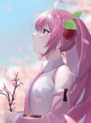 Rule 34 | 1girl, ahoge, benjamin4679, blouse, collared shirt, day, detached sleeves, falling petals, food-themed hair ornament, from side, grin, hair between eyes, hair ornament, hatsune miku, highres, holding, long hair, long sleeves, looking up, outdoors, petals, pink eyes, pink hair, pink neckwear, pink sleeves, sakura miku, shirt, sleeveless, sleeveless shirt, smile, solo, twintails, upper body, very long hair, vocaloid, white shirt, wing collar